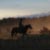 Riding Em into the Sunset
