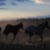 Trio at Sunset