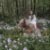 Admiring the Phlox